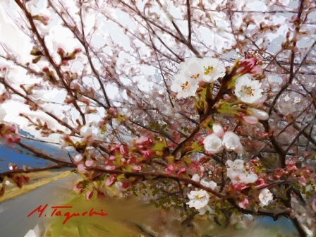 ��i11�D������Q